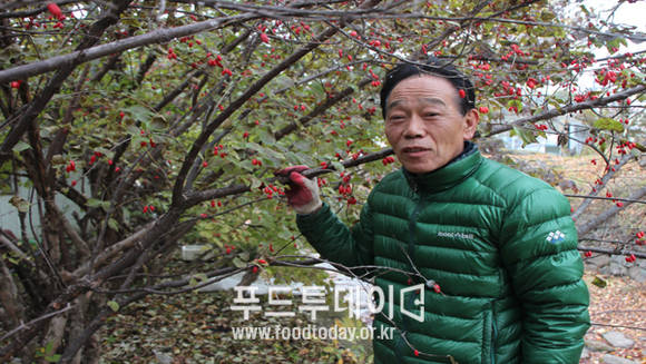 최규동 지산식품 대표