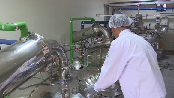 의성흑마늘영농조합 제조시설 영상 갈무리 (의성흑마늘영농조합 제공)