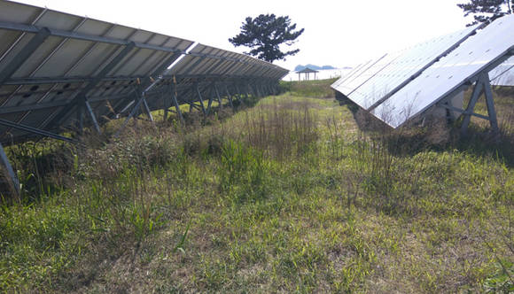 2013년 서도면 주문도리 429-1번지 해안가에 설치된 태양광 발전시설 주변에 풀이 무성하게 자라있다