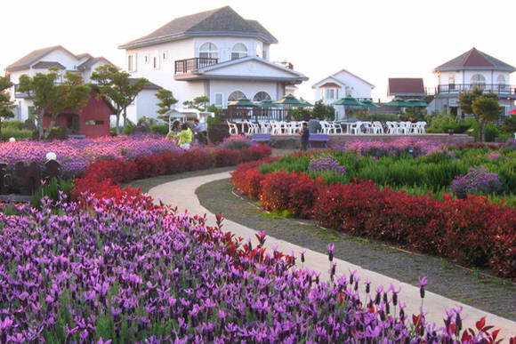 '웰니스관광 25선' 자연·숲 치유테마 제주허브동산